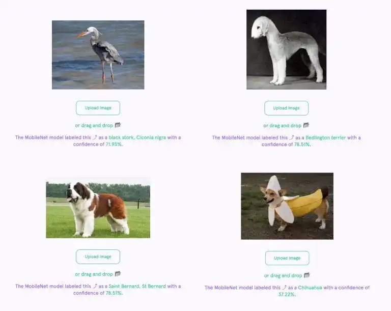 Image of obscure dog breeds, identified by the MobileNet model